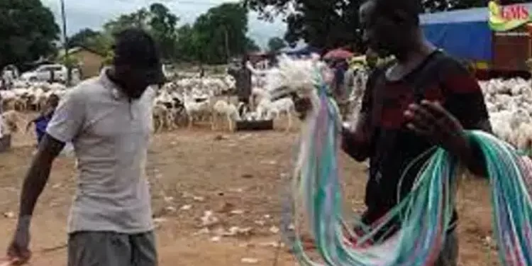 Tabaski 2022 : Même les prix des  cordes ont flambé, selon Adama Pouye