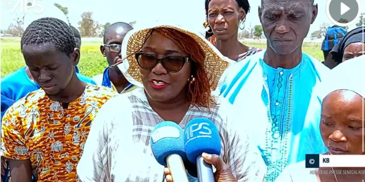 (Vidéo -APS) La mairie de Ndiaganiao encourage les paysans à mutualiser leurs champs pour faire du maraîchage