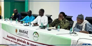 [ Vidéo] Gouvernance forestière au Sénégal : l’État appelle à plus de rigueur pour moderniser le secteur