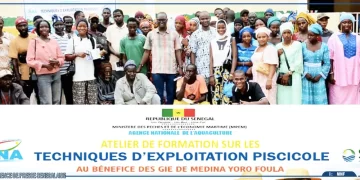 Kolda : 65 acteurs de GIE formés aux techniques aquacoles à Médina Yéro Foulah
