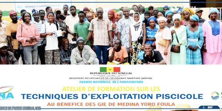Kolda : 65 acteurs de GIE formés aux techniques aquacoles à Médina Yéro Foulah