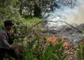 Feux de forêt : l&rsquo;Indonésie va déployer des centaines de soldats pour lutter contre les incendies à Bornéo