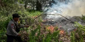 Feux de forêt : l&rsquo;Indonésie va déployer des centaines de soldats pour lutter contre les incendies à Bornéo