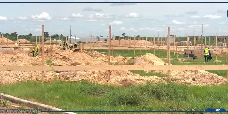 Kaolack : la SN HLM lance 65 nouveaux logements aux HLM Nimzatt