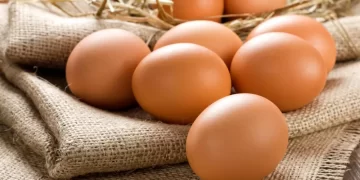 (Vidéo) les bienfaits insoupçonnés de l&rsquo;oeuf