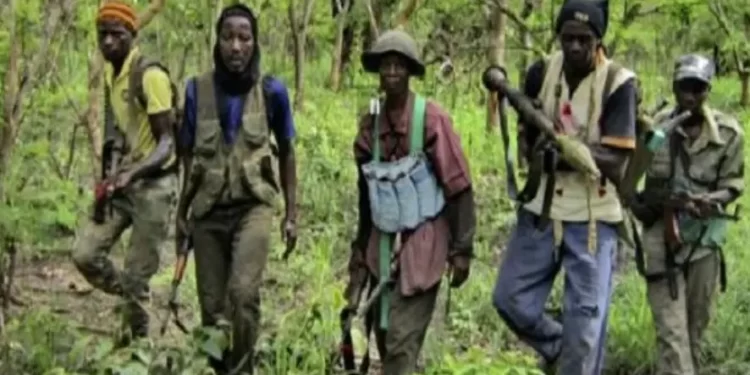 Crise Casamançaise : Les rebelles du « Diakaye » acceptent de déposer les armes