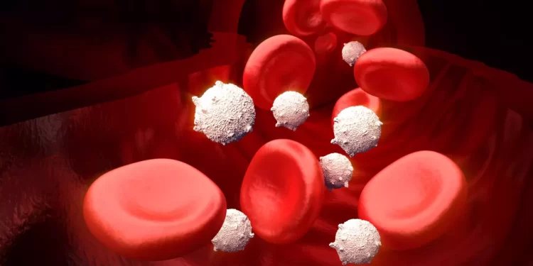 (Vidéo) 10 aliments pour booster les globules blancs