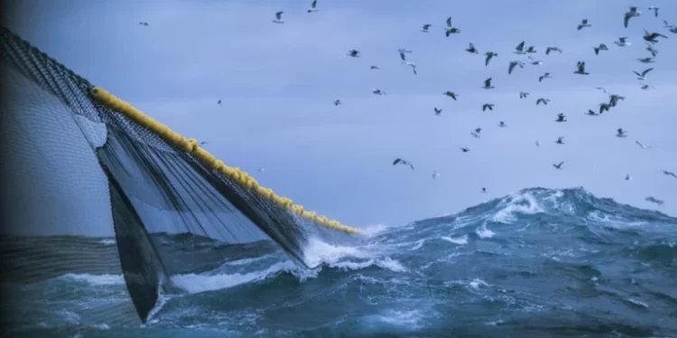 Traité de protection de la haute mer: les enjeux pour l’Afrique