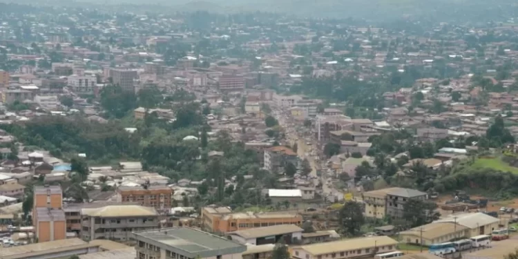 Cameroun: la société civile interpelle le gouvernement sur la situation des droits de l’homme