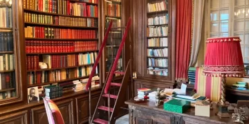 Culture : Alioune Tine suggère au président Diomaye Faye de racheter et de ramener la bibliothèque de Senghor