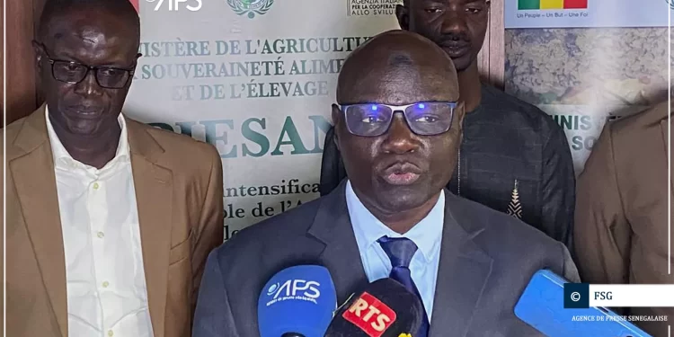 La CNAAS et le PIESAN signent une convention pour offrir aux agriculteurs une assurance contre les risques