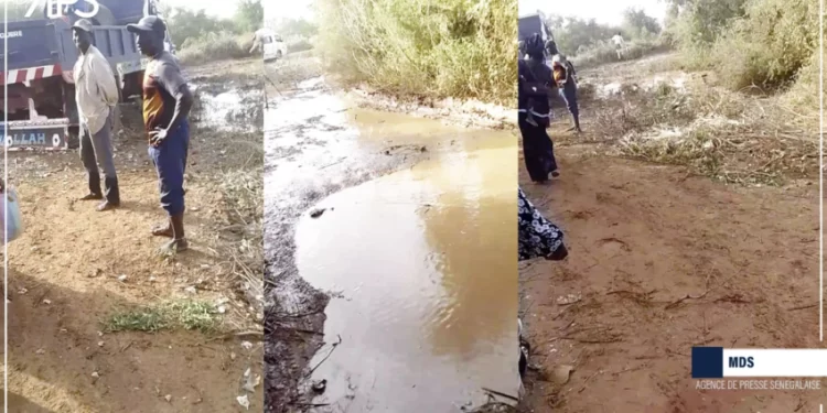 La route secondaire Tiguéré-Matam coupée et impraticable