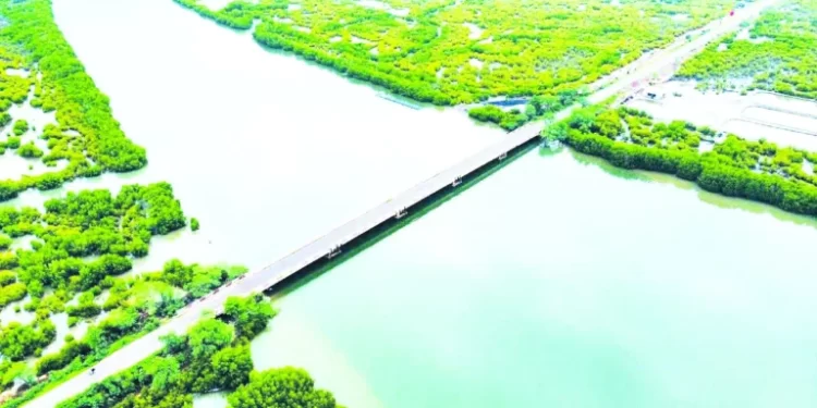 Le gouvernement sénégalais intensifie le désenclavement de la Casamance : réhabilitation et construction d’infrastructures routières