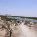 Fraternité au-delà de la Mort : Le Cimetière Mixte de Fadiouth  