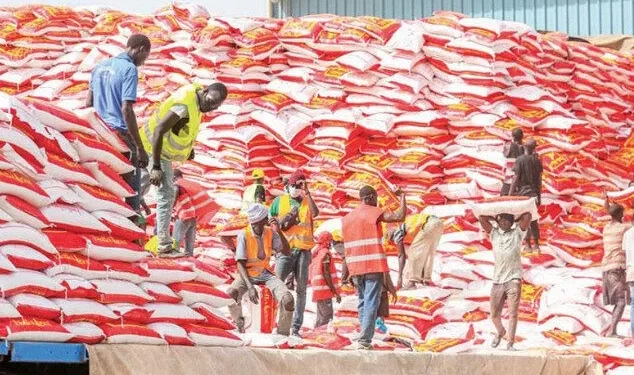 Réduction historique du prix du riz brisé au Sénégal : Une baisse de 22 % pour alléger le panier des ménages