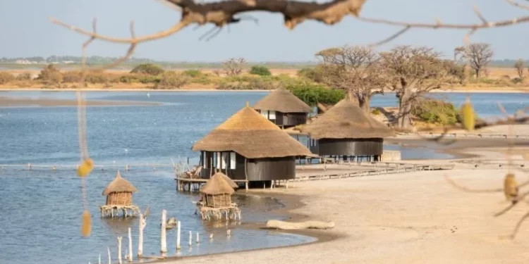 Ziguinchor bientôt dotée d’une Maison du tourisme : l’ASPT veut booster l’attractivité de la Casamance