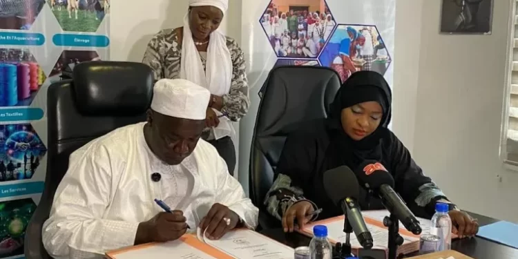 Tambacounda : 200 millions de FCFA pour propulser l’entrepreneuriat local des jeunes et des femmes