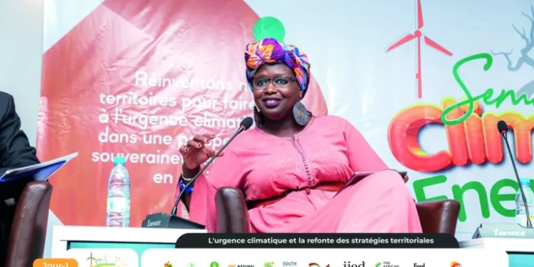 Collectivités territoriales face au climat : entre volonté politique et moyens absents