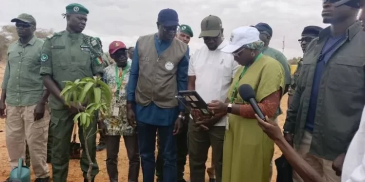Sonko lance la 42e Journée nationale de l’Arbre : planter pour résister, reboiser pour survivre