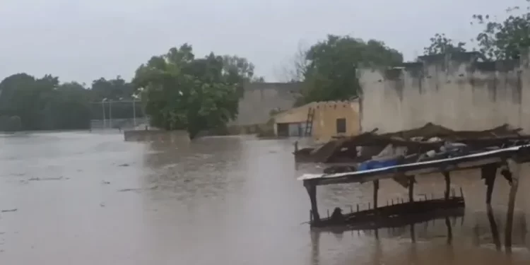 Tambacounda : Les fortes pluies provoquent de nouvelles crues dévastatrices