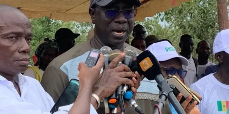 Tambacounda : Le ministre Daouda Ngom encourage un reboisement durable et encadré