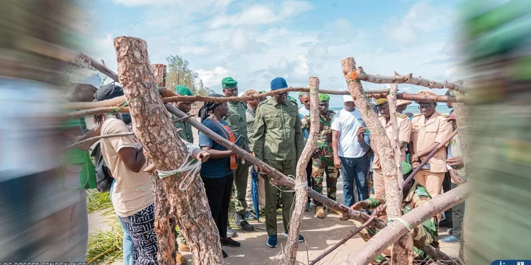 Bogal : 600 caïlcédrats plantés sous l’impulsion du Khalife Thierno Barry et de la Caravane écologique