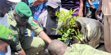 Reboisement à Mbacké : Daouda Ngom salue les efforts de Touba Ça Kanam et appelle à une mobilisation nationale