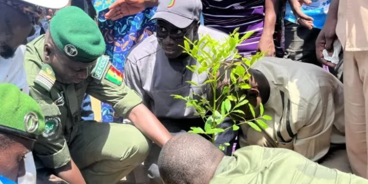 Reboisement à Mbacké : Daouda Ngom salue les efforts de Touba Ça Kanam et appelle à une mobilisation nationale