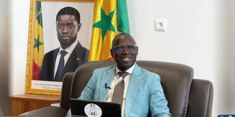 Reboiser ne suffit plus : l’appel du DG de l’ASERGMV pour la survie des arbres au Sénégal