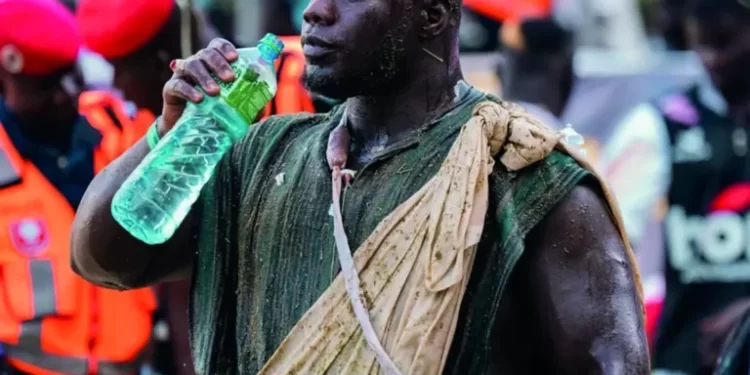 LUTTE TRADITIONNELLE : Bilan de la saison 2024-2025 : Franc en maître, Général Malika s’impose, Siteu en demi-teinte…