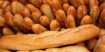 [ Vidéo] Coupe d’Afrique de la Boulangerie 2025 : Le Sénégal en route vers un nouveau sacre à Marrakech