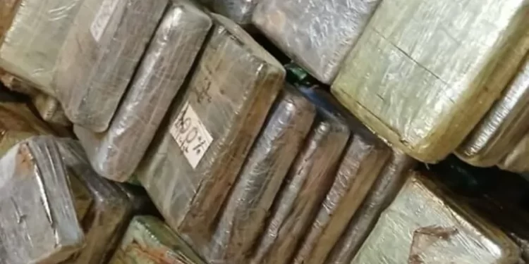 Douanes sénégalaises : Près de 22 milliards CFA de cocaïne saisis à Kalifourou