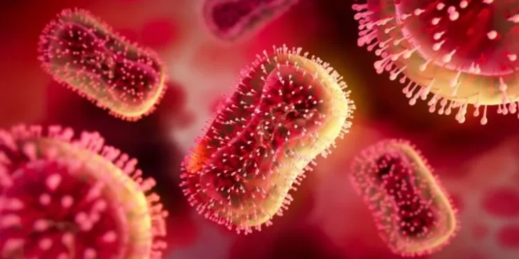 Mpox : Le Sénégal Déclare la Guérison Totale du Patient et Aucun Nouveau Cas Signalé