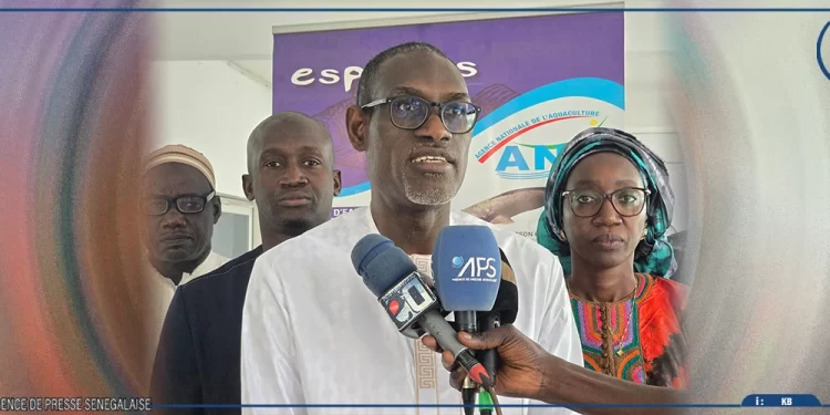 Aquaculture au Sénégal : vers l’adoption de 11 actes réglementaires pour une mise en œuvre effective du Code promulgué en 2022