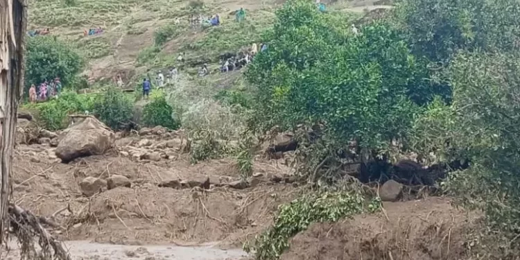 Glissement de terrain au Darfour : plus de 1 000 morts, la catastrophe la plus meurtrière du Soudan