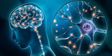 [Vidéo] Alzheimer au Sénégal : l’ATUCA en première ligne face à un défi grandissant