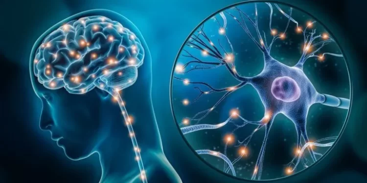 [Vidéo] Alzheimer au Sénégal : l’ATUCA en première ligne face à un défi grandissant