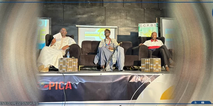 Économie du cinéma : à Dakar, les professionnels appellent à des réformes concrètes pour dynamiser la distribution