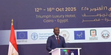 Le Sénégal à la manœuvre : Cheikh Tidiane Dièye trace la voie vers une diplomatie africaine de l’eau à l’horizon 2026