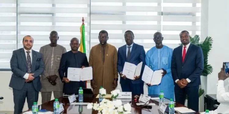 Microfinance islamique : un partenariat stratégique entre le Sénégal et la BID pour une relance inclusive