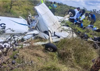 Kenya : 11 morts, dont 8 Hongrois et 2 Allemands, dans le crash d’un avion