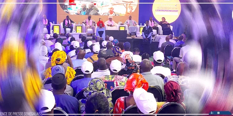 Casamance : la DER/FJ injecte 13,1 milliards de F CFA pour dynamiser l’entrepreneuriat des jeunes et des femmes
