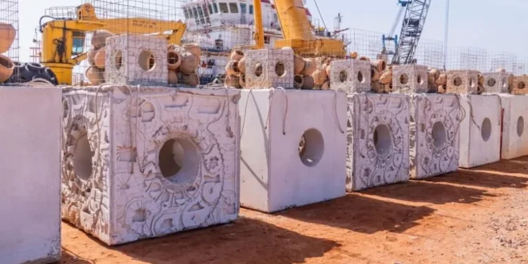 Récifs artificiels pour Saint-Louis : Le Sénégal renforce sa stratégie pour une pêche durable