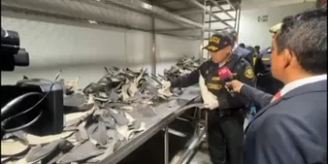 Pérou : saisie de plus de six tonnes d&rsquo;ailerons de requins destinées à l&rsquo;Asie
