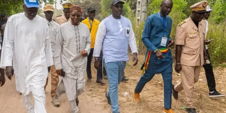 Ziguinchor : Le gouvernement lance deux projets majeurs pour garantir l’accès universel à l’eau potable en milieu rural