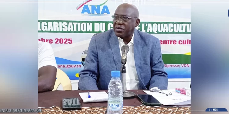 Matam mise sur l’aquaculture : un nouveau Code pour transformer le potentiel piscicole en moteur de développement