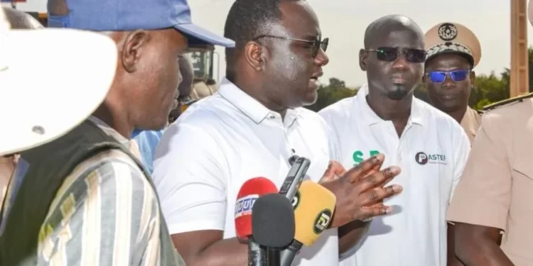 Birkilane–Mabo : Déthié Fall sanctionne le retard sur le chantier et prend des mesures