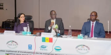 Pollution plastique : cinq ans après, la loi de 2020 peine toujours à produire ses effets