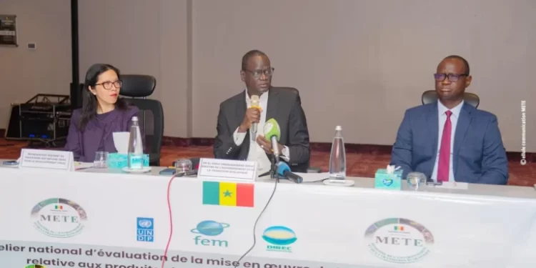 Pollution plastique : cinq ans après, la loi de 2020 peine toujours à produire ses effets