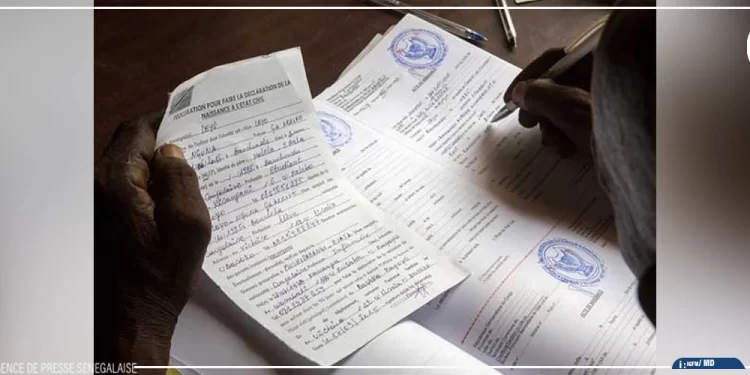 Bignona : deux individus soupçonnés de falsification d’actes de naissance arrêtés